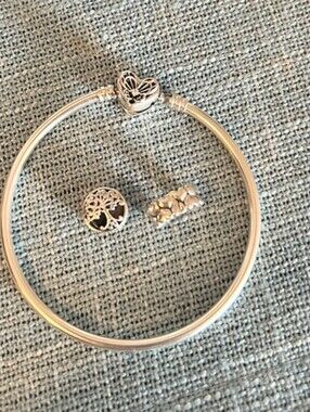 Pandora Bundle Of Heart Butterfly Clasp Bangle Plus 2 Authentic Charms And Box
